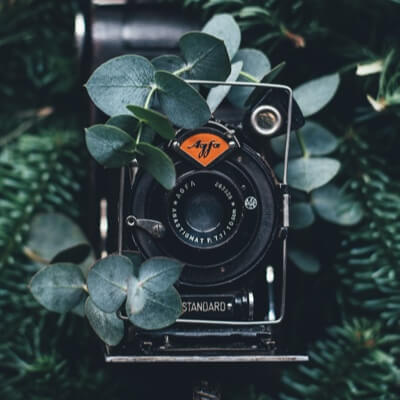 Vintage camera covered in leaves